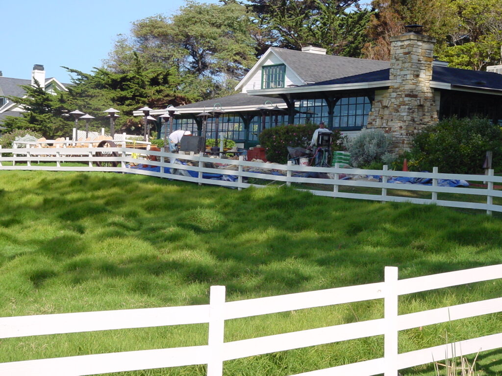 meadow and white picket fence