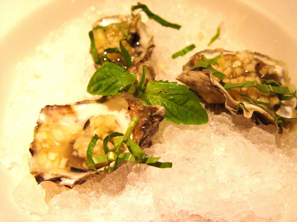 oysters