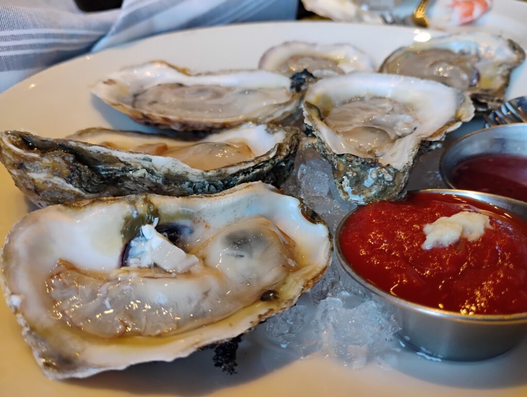 raw oysters on a plate