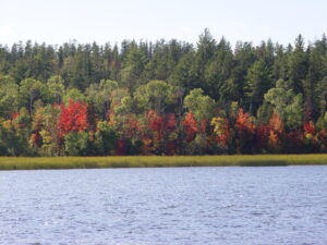 boulder junction wisconsin shoreline