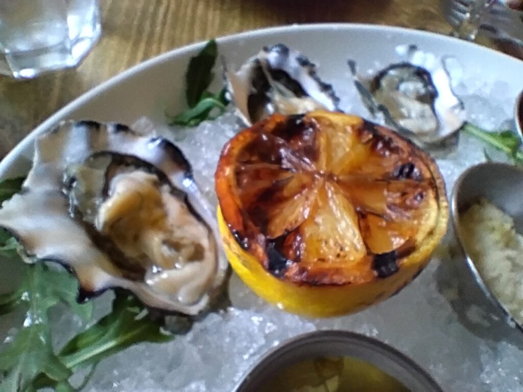 oysters